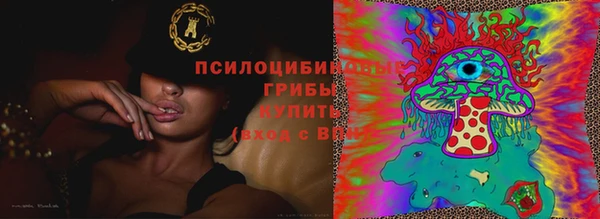 трава Алзамай