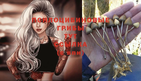 трава Алзамай